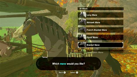 Some animals must be tamed before they can be bred. . How to change horse name botw